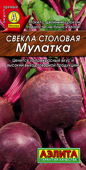 Заказать семена столовой свеклы Мулатка в Старой Руссе по цене 40 ₽ недорого